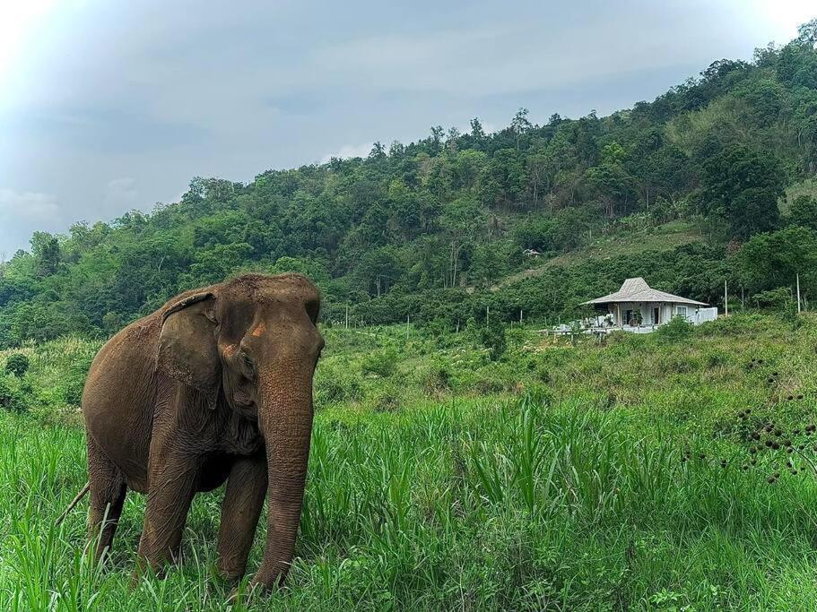 Elephantpoolvilla Maetang Chiangmai Ban Muang Kut Екстер'єр фото